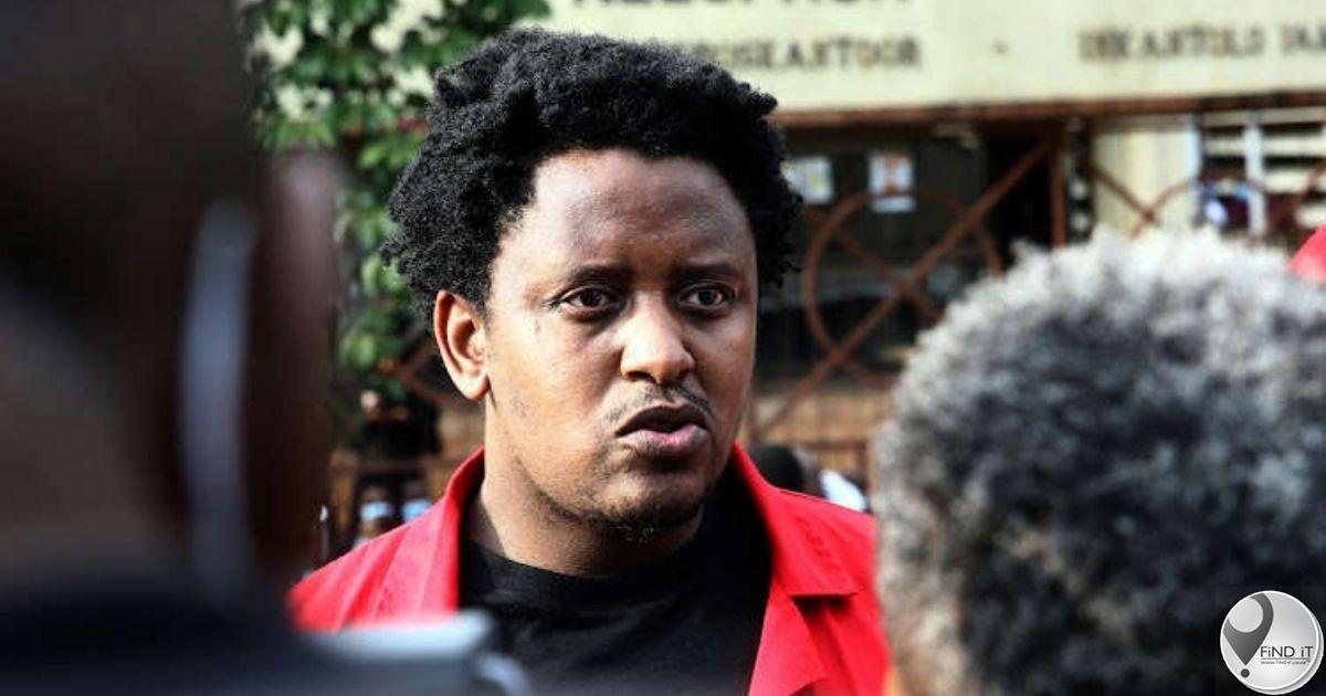 EFF-woordvoerder se meisie 'ontsnap Uber-ontvoeringspoging'