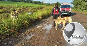 KZN-honde bly by oorlede eienaar