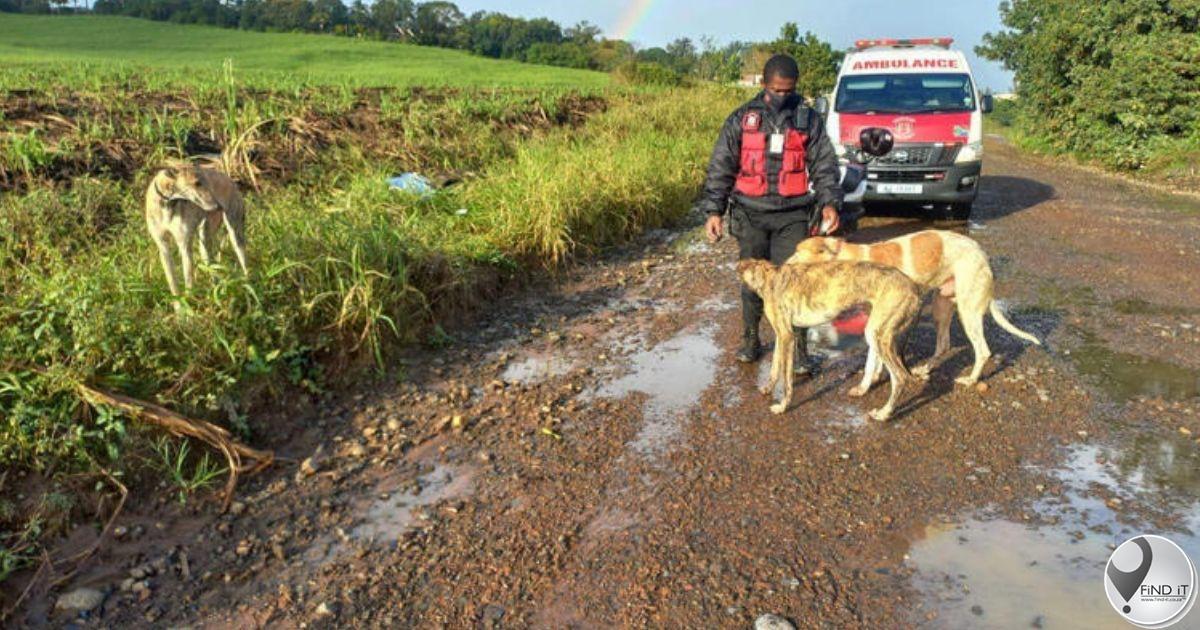KZN-honde bly by oorlede eienaar