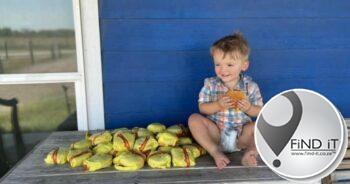 Kleuter bestel 31 McDonald's-burgers op ma se foon