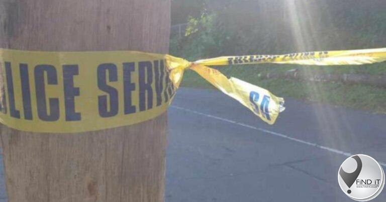 Twee vlieëniers is dood in vliegtuigongeluk op Oos-Kaapse plaas