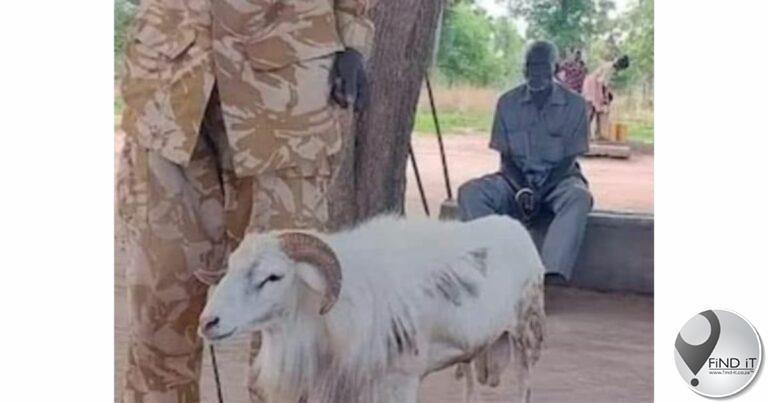 'n Ram in Suid-Soedan is tronkstraf opgelê vir die moord op 'n vrou