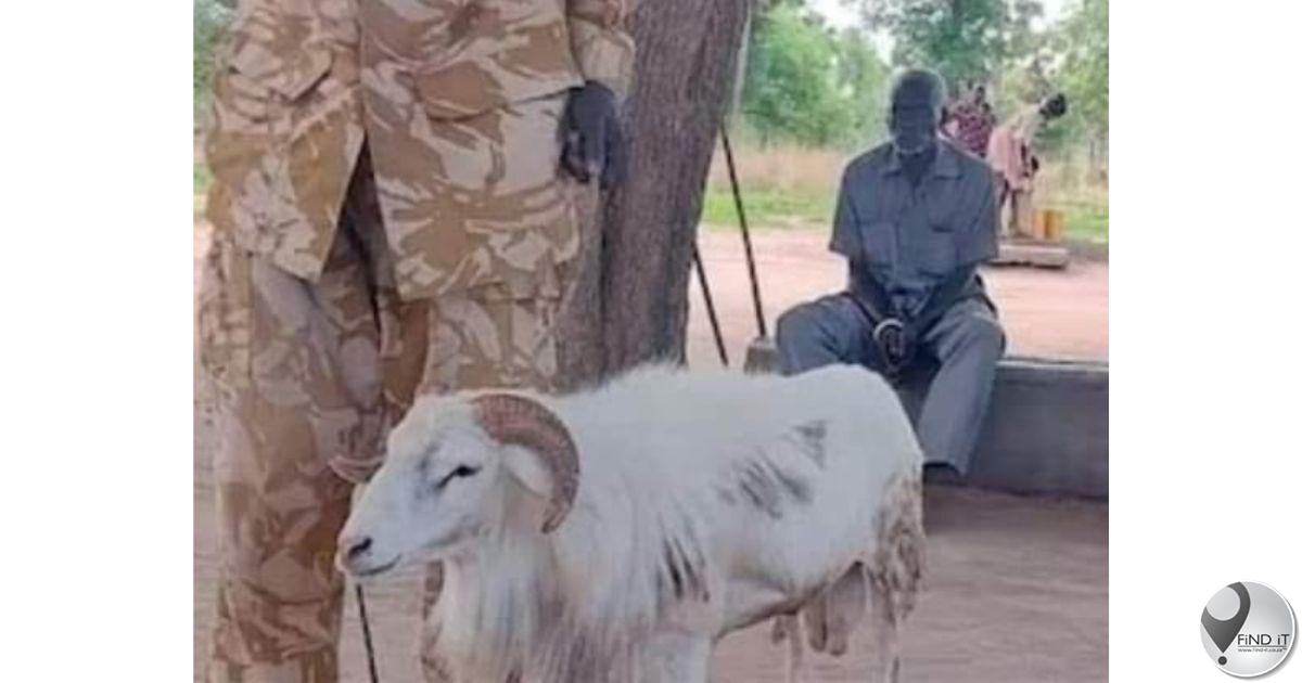 'n Ram in Suid-Soedan is tronkstraf opgelê vir die moord op 'n vrou