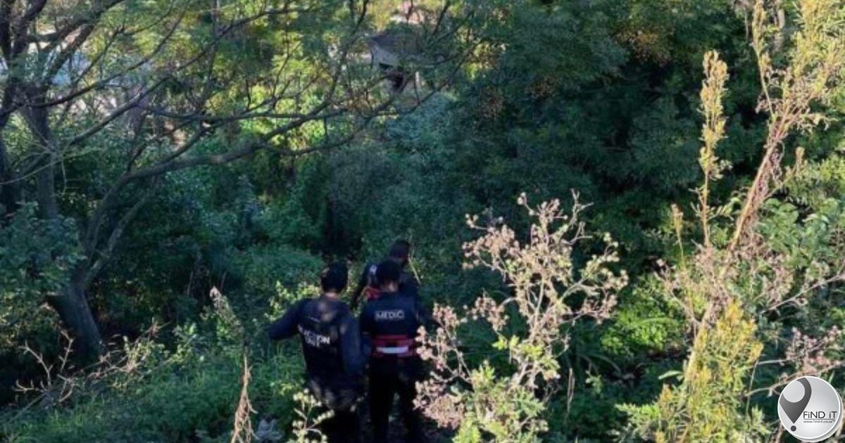 Verbyganger vind ontbinde lyk in digte bos in KZN