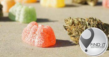 Busbestuurder wat flou geword het beweer hy het nie geweet van dagga in lekkers nie