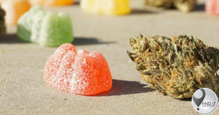 Busbestuurder wat flou geword het beweer hy het nie geweet van dagga in lekkers nie