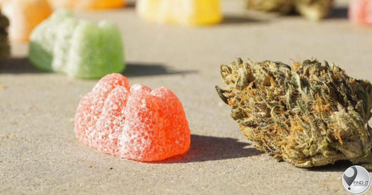 Busbestuurder wat flou geword het beweer hy het nie geweet van dagga in lekkers nie