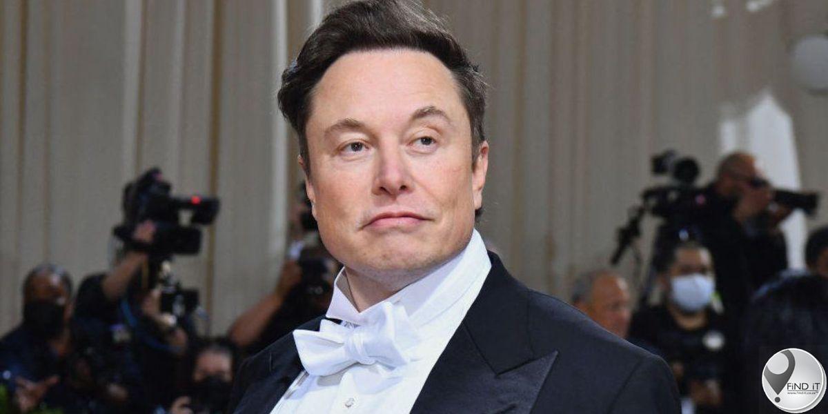 Elon Musk ontken 'n verhouding met Google se medestigter se vrou