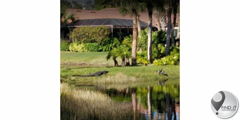 Bejaarde vrou deur alligators gedood toe sy in buiteklub se dam val