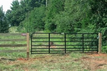 (Foto: Gaston Fence)