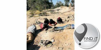 Twaalf ‘zama-zamas’ aangekla van moord en aanranding
