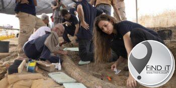 500 000 jaar oue olifanttand opgegrawe in Israel