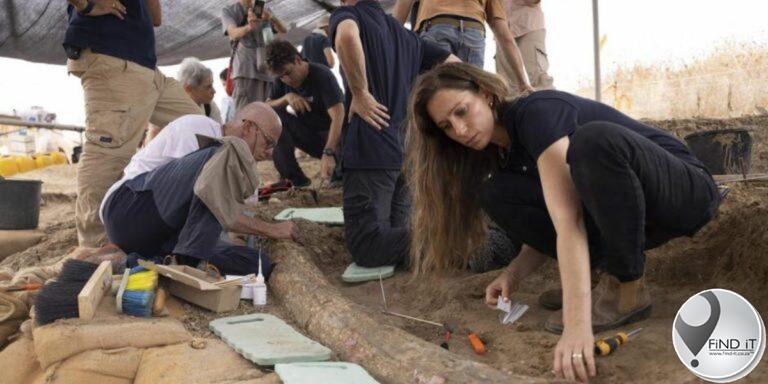 500 000 jaar oue olifanttand opgegrawe in Israel