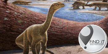 Afrika se oudste dinosourus opgegrawe in Zimbabwe