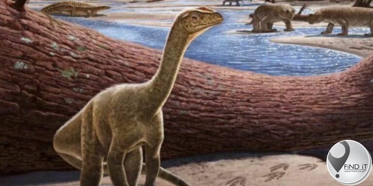Afrika se oudste dinosourus opgegrawe in Zimbabwe