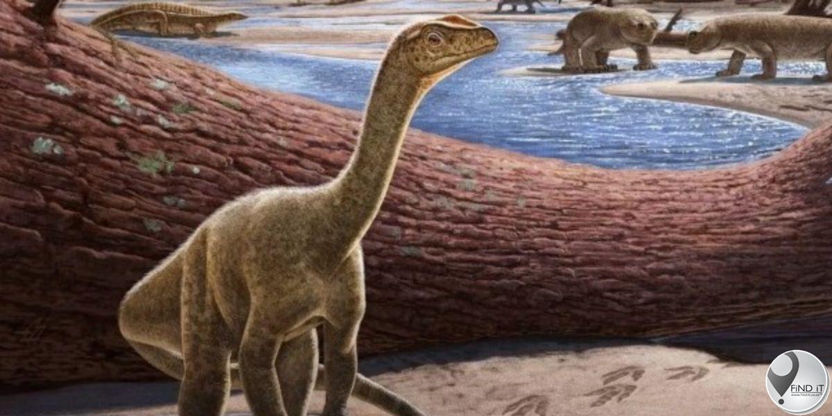 Afrika se oudste dinosourus opgegrawe in Zimbabwe