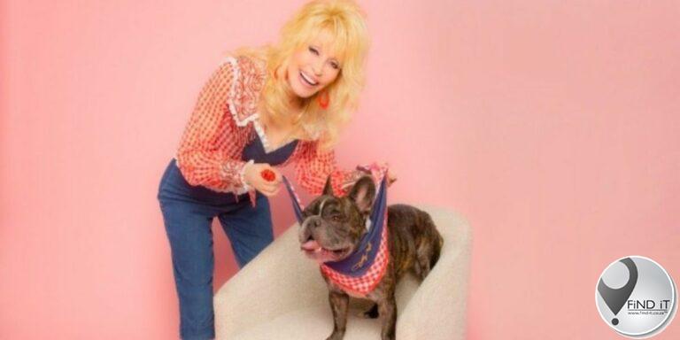 Dolly Parton stel ‘Doggy Parton’ klerereeks vir honde bekend