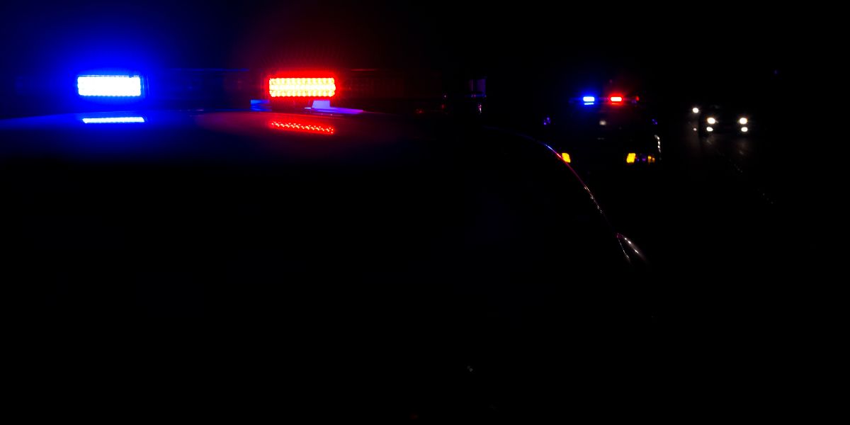 Ondersoek na polisiehond glo leerlinge byt