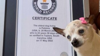 (Fotokrediet: CNN)