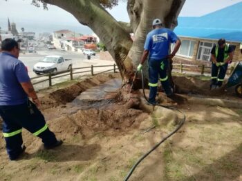 (Fotokrediet: Mossel Bay Municipality, Facebook)