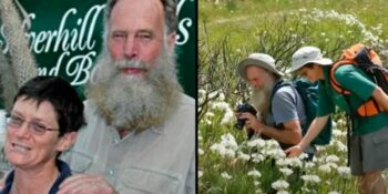 Paar vermoor en vir krokodille gegooi dae na onderhoud met BBC