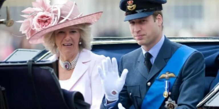 Buckingham-paleis beplan glo om Camilla koningin te maak