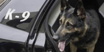 Man byt polisiehond