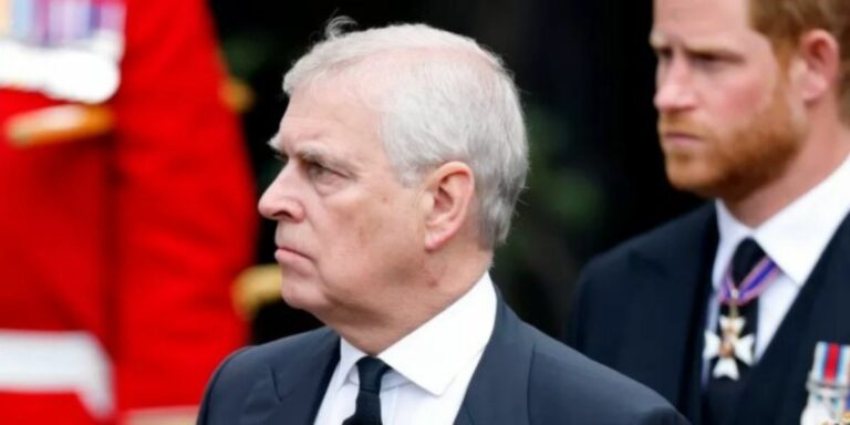Prins Andrew en Prins Harry se koninklike raadgewersrolle uitgedaag
