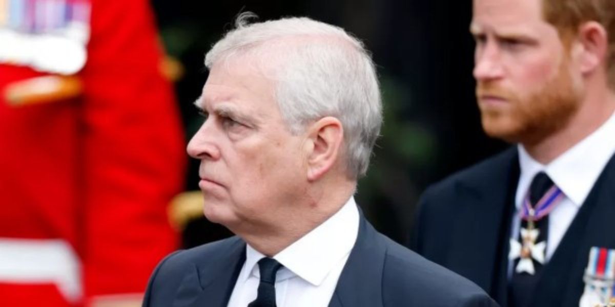 Prins Andrew en Prins Harry se koninklike raadgewersrolle uitgedaag