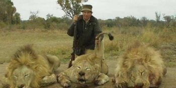 VK-jagklub in die moeilikheid oor opveil van trofeejag-safari in Suid-Afrika
