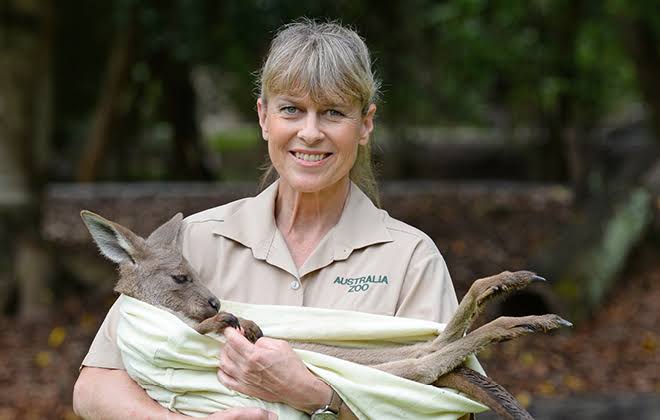 (Fotokrediet: Australia Zoo)
