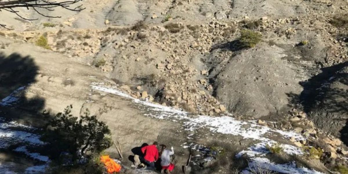 Fossiele van 'n motor-grootte dinosourus-era seeskilpad in Spanje opgegrawe