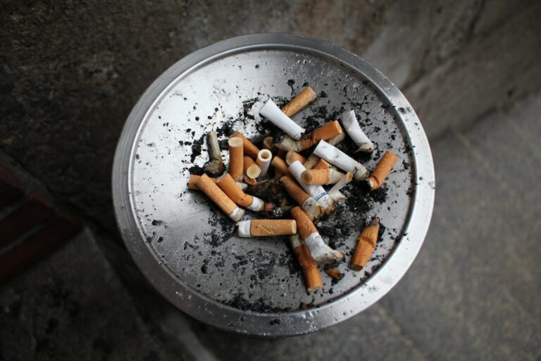 (Fotokrediet: Unsplash)