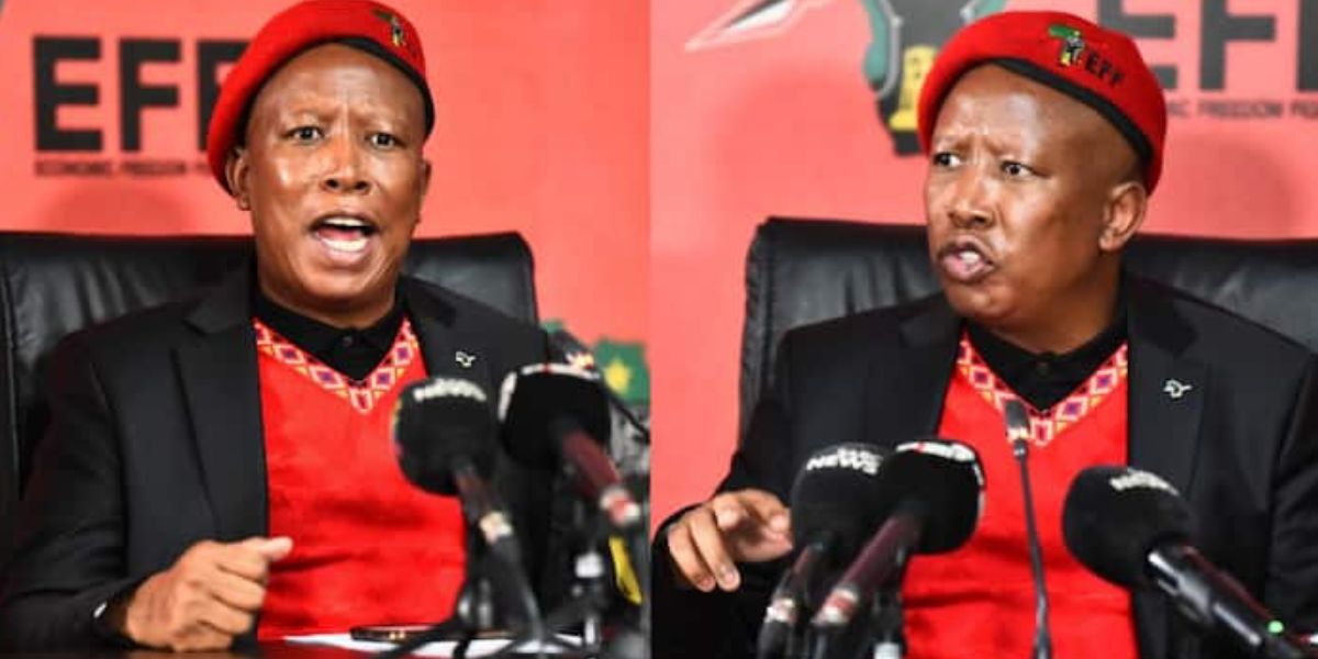 Julius Malema dreig met nasionale stilstand oor beurtkrag