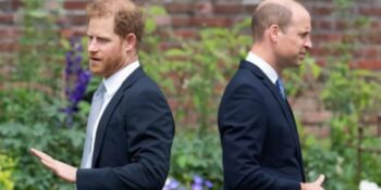 Prins Harry beskuldig prins William van fisiese aanval in boek