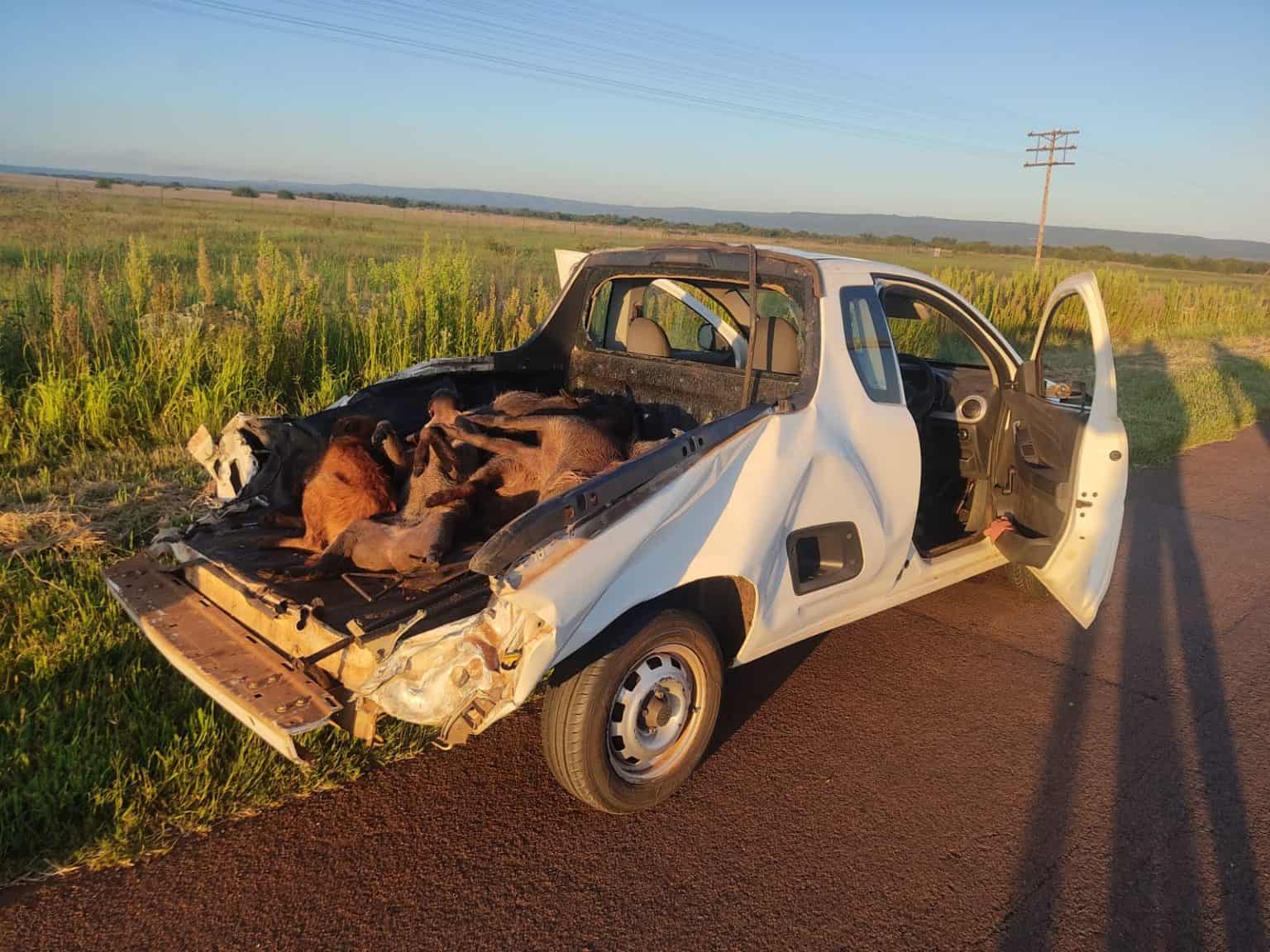 (Fotokrediet: AfriForum)