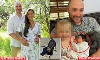 (Fotokrediet: Daily Mail)