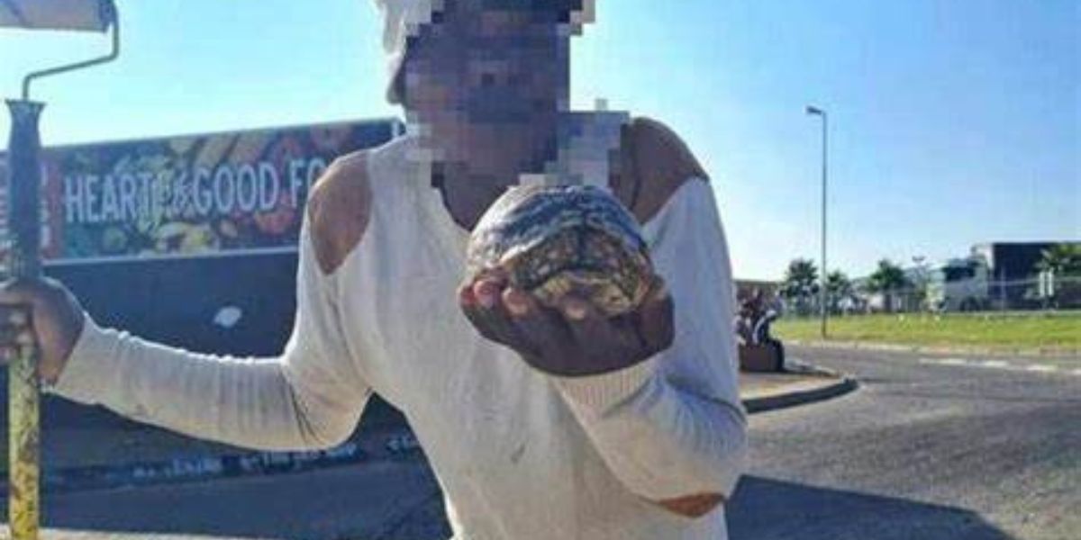 Man in hegtenis na hy skilpad probeer verkoop