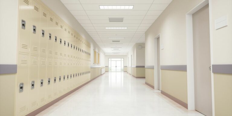 Onderwysers in openbare skole hou aan met seksuele misdrywe teen leerlinge – Angie Motshekga