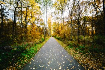(Fotokrediet: Unsplash)