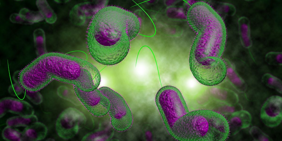 Elf cholera gevalle in Gauteng
