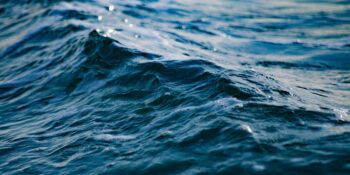 Klimaatsverandering kan verspreiding van vlees-etende bakterieë veroorsaak
