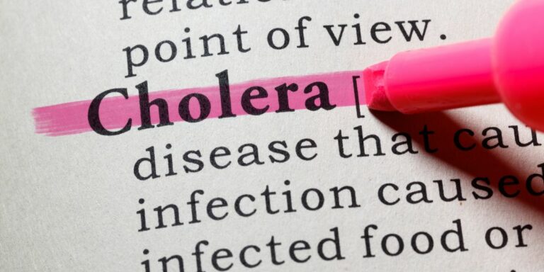 Cholera waarskuwing uitgereik vir Gauteng
