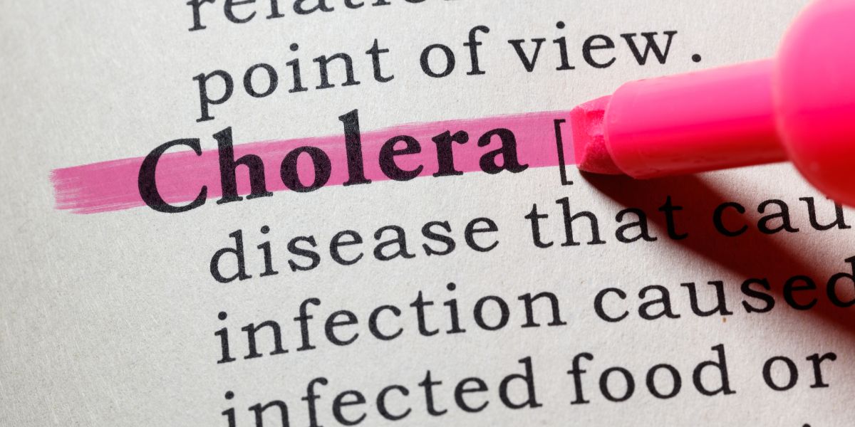 Cholera waarskuwing uitgereik vir Gauteng