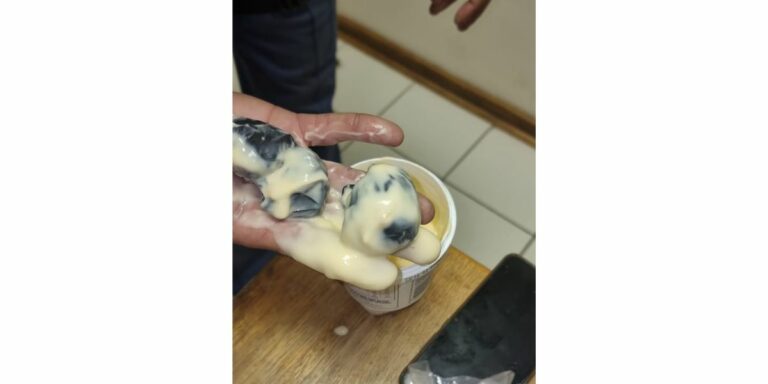Ryloper in hegtenis na dwelms in glo jogurt bakkies gevind is