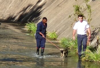 (Fotokrediet: Bloemfontein SPCA, Facebook)