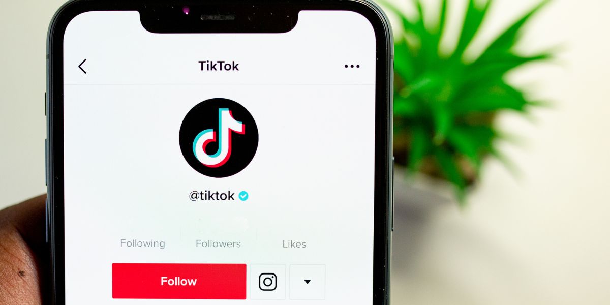 TikTok het VK joernalis dopgehou deur haar kat se rekening