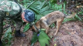 (Fotokrediet: AFP/Colombian army)