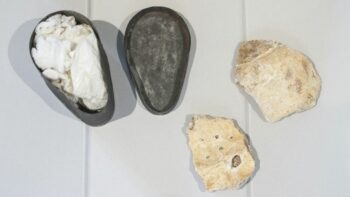 (Fotokrediet: CNN)