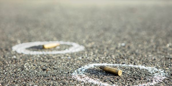 Polisie ondersoek moord op drie EFF-lede